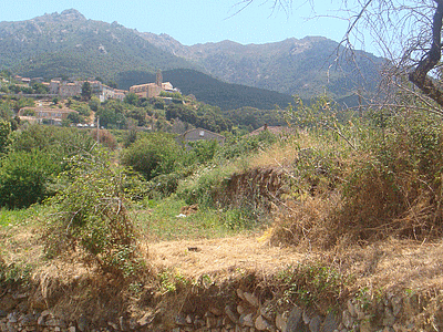 PETRETO-BICCHISANO   ( Photographie de Corsicavo)