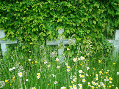 Tombe deGRIMALDI Ange François à <a HREF=fotom2l.php?necro=162>  <U>Mennevret (CarrÃ© militaire)</U> </A>  