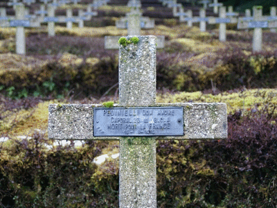 Tombe dePEDINIELLI Jean André à <a HREF=fotom2l.php?necro=10>  <U>Metzeral Le ChÃªne Millet (NÃ©cropole nationale)</U> </A> 790