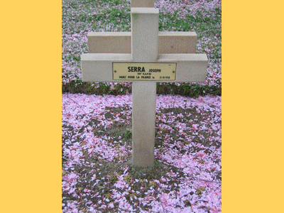 Tombe deSERRA Joseph à <a HREF=fotom2l.php?necro=245>  <U>MACHELEN(CimetiÃ¨re militaire) ou Zulte-Machelen</U> </A> 215