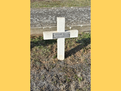 Tombe deZUCCONI Nicolas à <a HREF=fotom2l.php?necro=592>  <U>Sigolsheim (NÃ©cropole Nationale)</U> </A> 