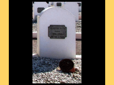 Tombe deALBERTINI Raoul à <a HREF=fotom2l.php?necro=467>  <U>Toulon(CarrÃ© militaire de Lagoubran)</U> </A> Rang 3 tombe 9