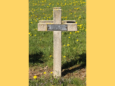 Tombe dePETRUCCI Antoine Pierre à <a HREF=fotom2l.php?necro=204>  <U>Riche (NÃ©cropole nationale)</U> </A> 157