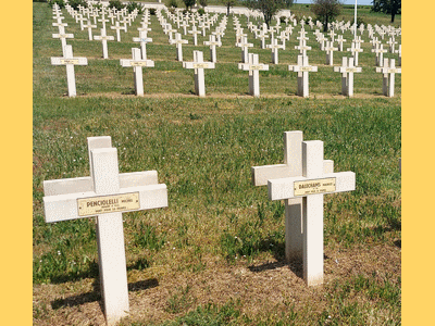 Tombe dePENCIOLELLI Michel Antoine à <a HREF=fotom2l.php?necro=251>  <U>Brieulles-sur-Meuse (nÃ©cropole Nationale)</U> </A> Carr&eacute; FR 14/18  tombe 801