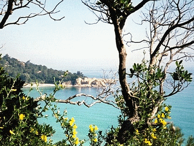 L‚anse de CANELLA  (route de PORTO-VECCHIO)