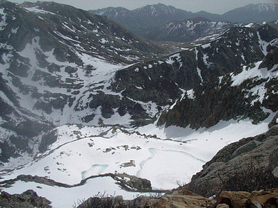 BASTELICA : BRACCA á la sortie de l‚hiver