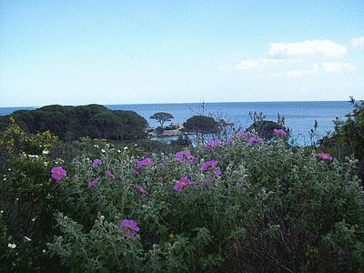 PORTO-VECCHIO  - Plage de Palombaggia