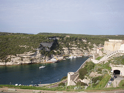 BONIFACIO 