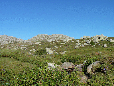 Plateau du  CUSCIONU