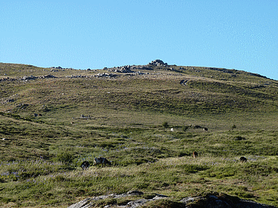 Plateau du  CUSCIONU